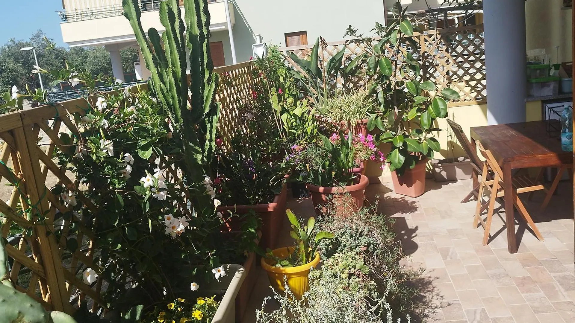 Alghero Lovely Flat